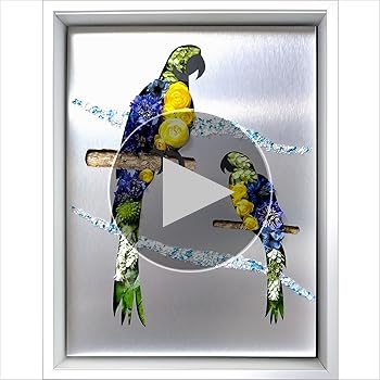 Amazon.co.jp: 鳥 インコ 絵画 インテリア 絵 プレゼント 新築